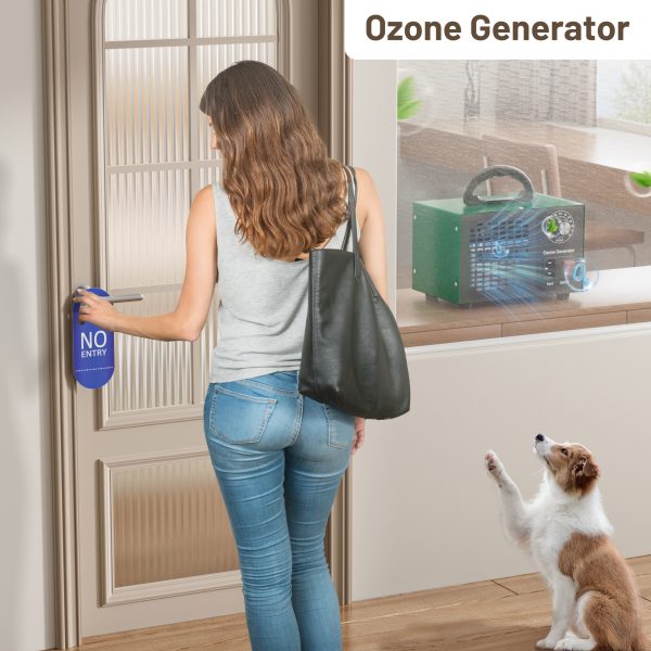 Ozone generator - Image 2